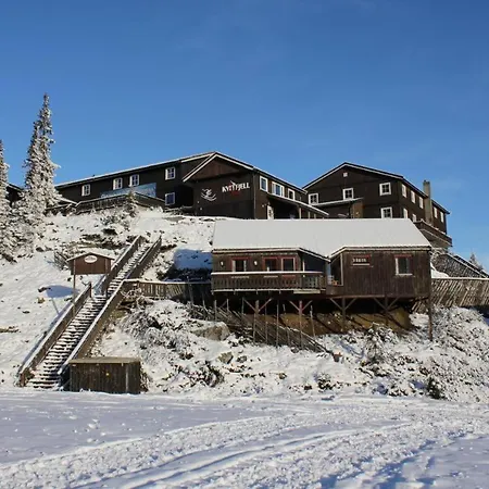 Kvitfjellvegen 492