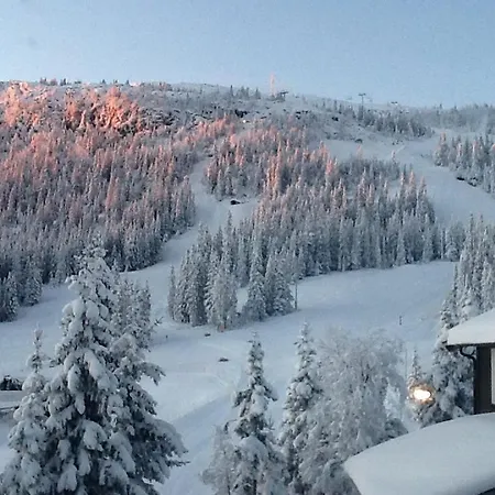 Hotell Kvitfjellvegen 492