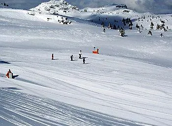 Kvitfjellvegen 492 Hotell