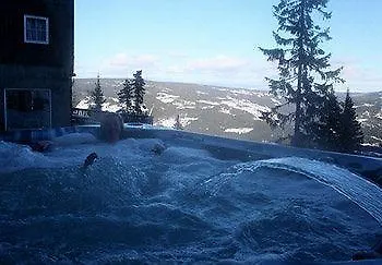 Kvitfjellvegen 492 酒店 科威费耶尔