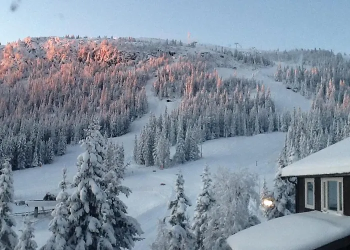 Hotell Kvitfjellvegen 492