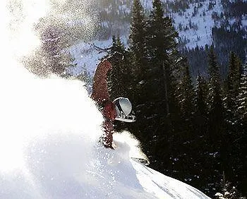 Kvitfjellvegen 492 Hotel