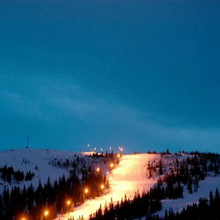 Kvitfjellvegen 492 Kvitfjell